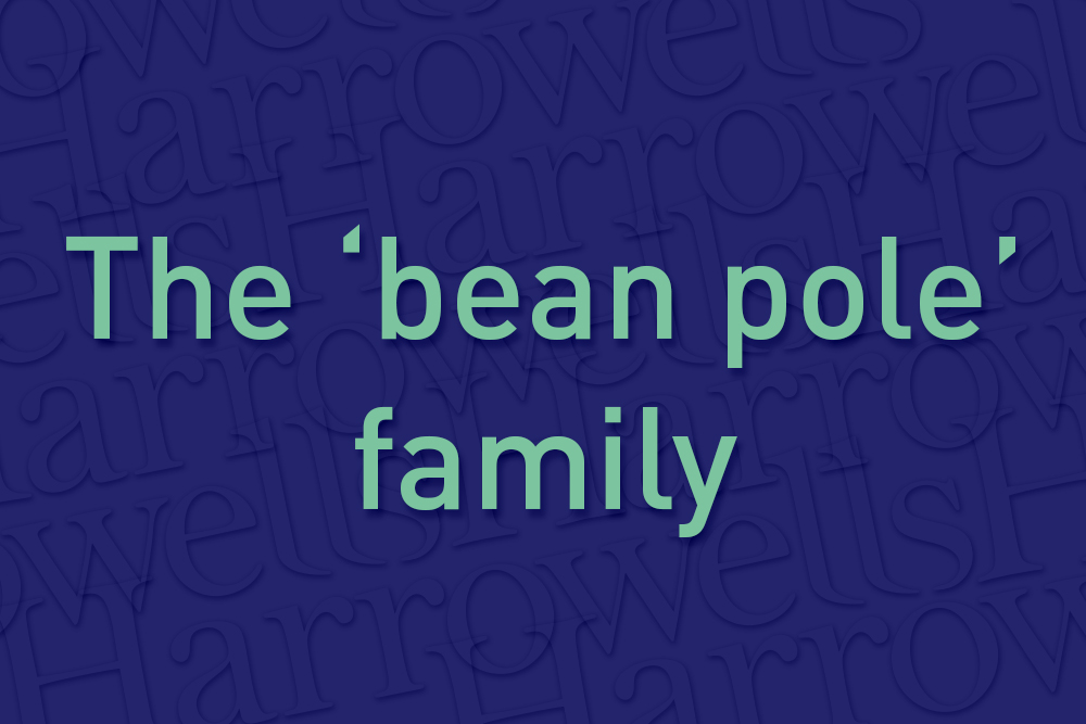 The bean pole family