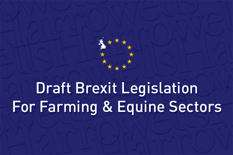 Draft Brexit legislation for farming and equine sectors