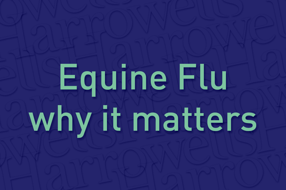 Equine Flu - why it matters