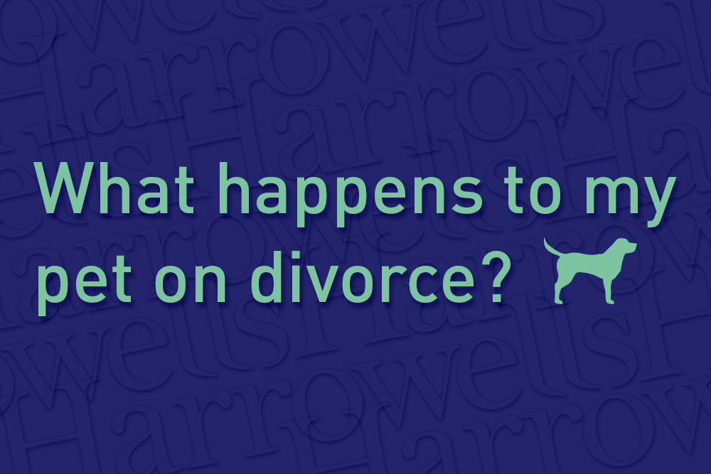 What happens to my pet on divorce